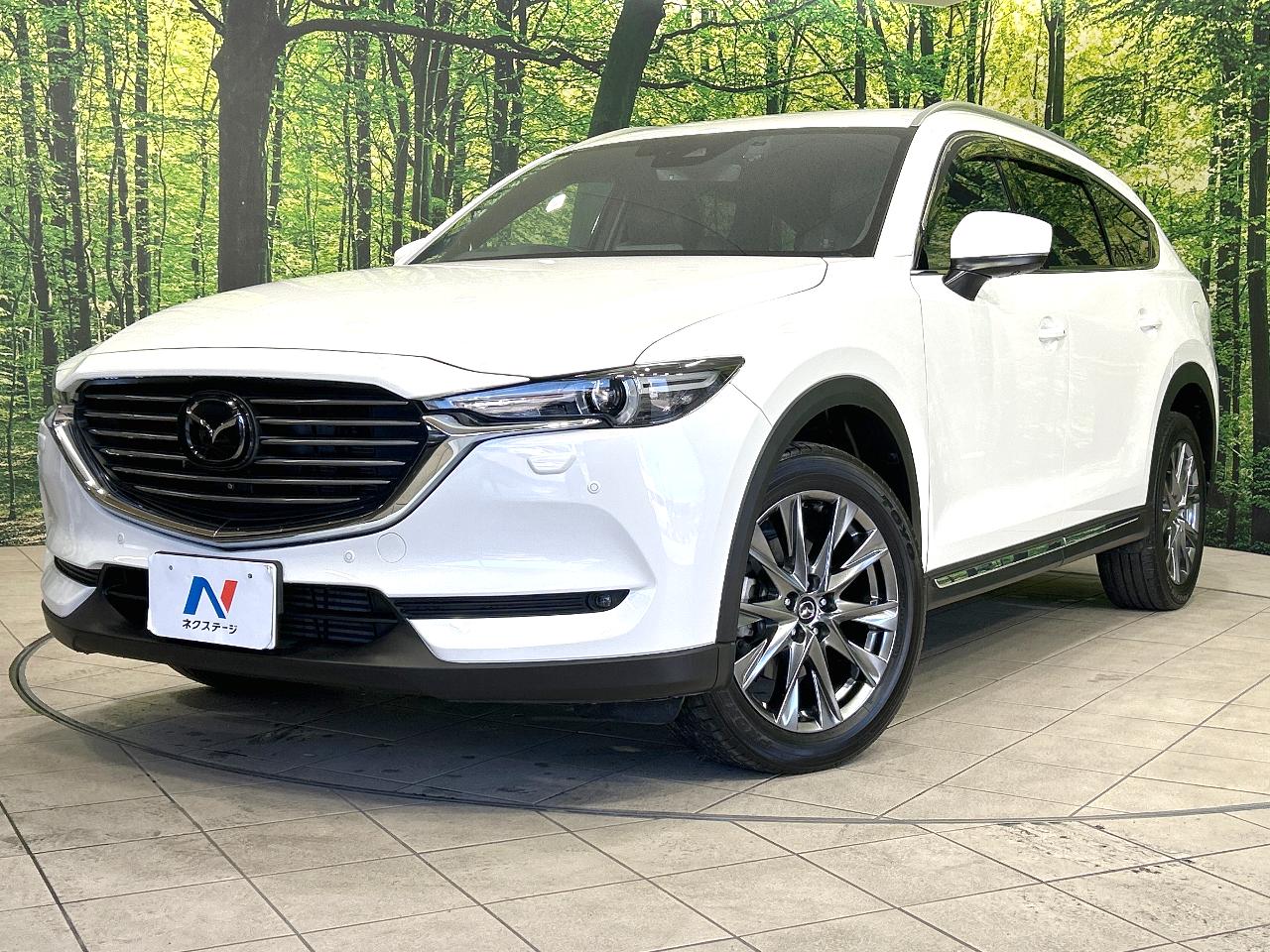 2019 Mazda CX-8 3da-kg2p