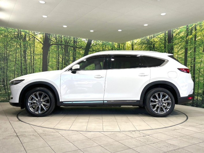 2019 Mazda CX-8 3da-kg2p (UW-69ef585b69a2f)[28]