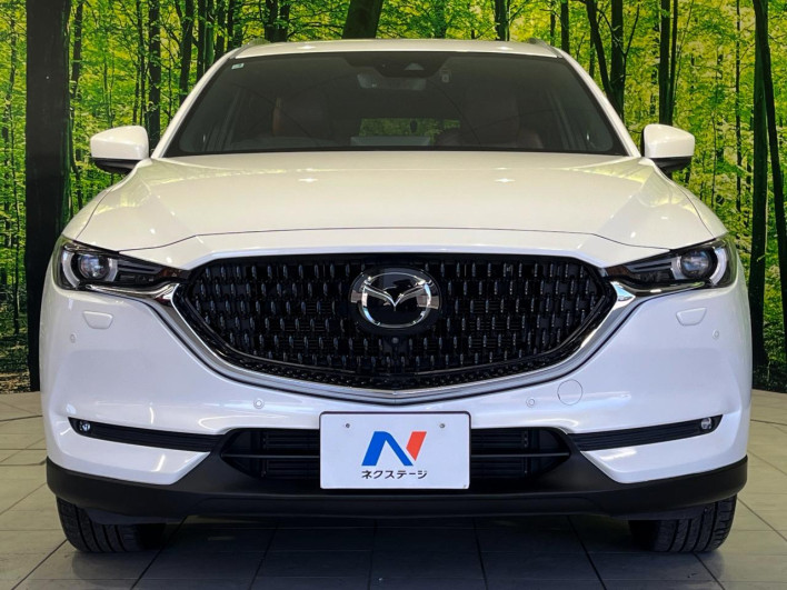 2021 Mazda CX-8 3da-kg2p (UW-69ef585c36b86)[21]