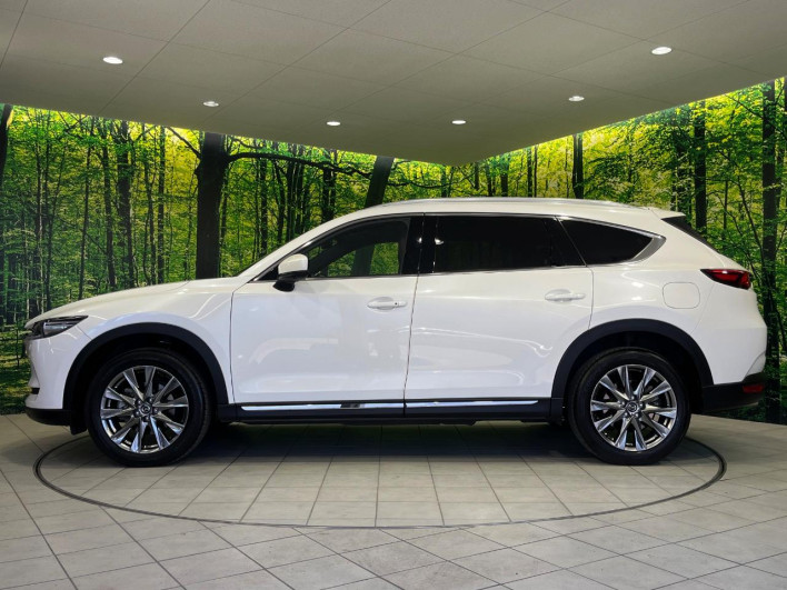 2021 Mazda CX-8 3da-kg2p (UW-69ef585c36b86)[22]
