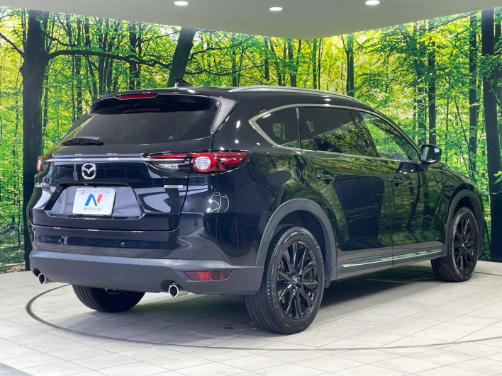 2021 Mazda CX-8 3da-kg2p (UW-69ef585c829dd)[18]