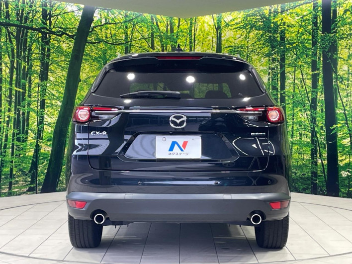 2021 Mazda CX-8 3da-kg2p (UW-69ef585c829dd)[17]