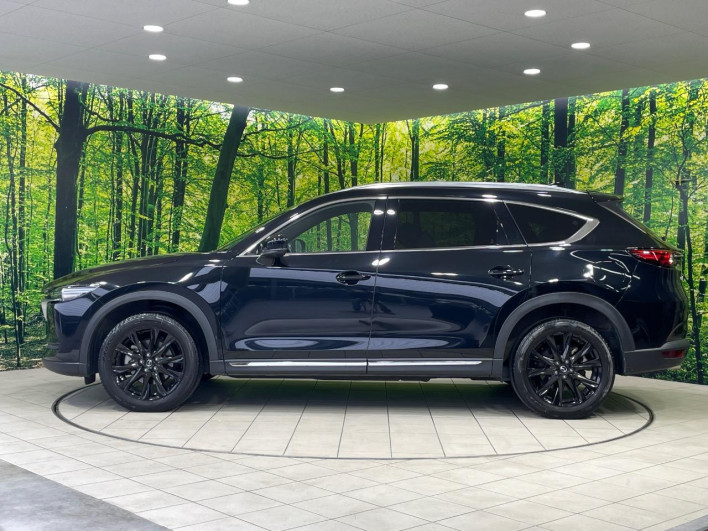 2021 Mazda CX-8 3da-kg2p (UW-69ef585c829dd)[15]