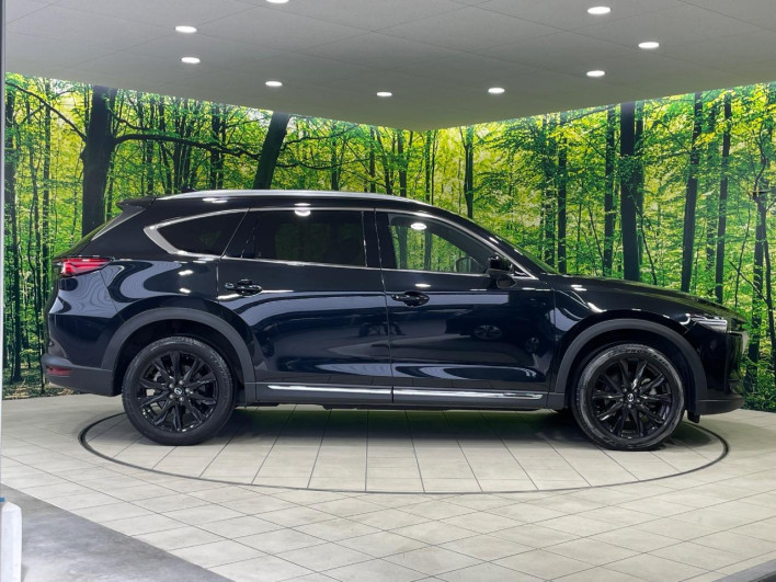 2021 Mazda CX-8 3da-kg2p (UW-69ef585c829dd)[19]