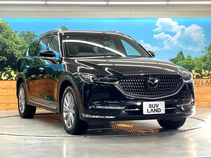 2022 Mazda CX-8 3da-kg2p (UW-69ef585d1f423)[16]
