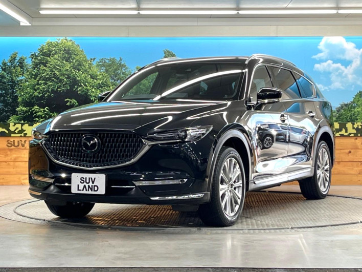 2022 Mazda CX-8 3da-kg2p (UW-69ef585d1f423)[14]
