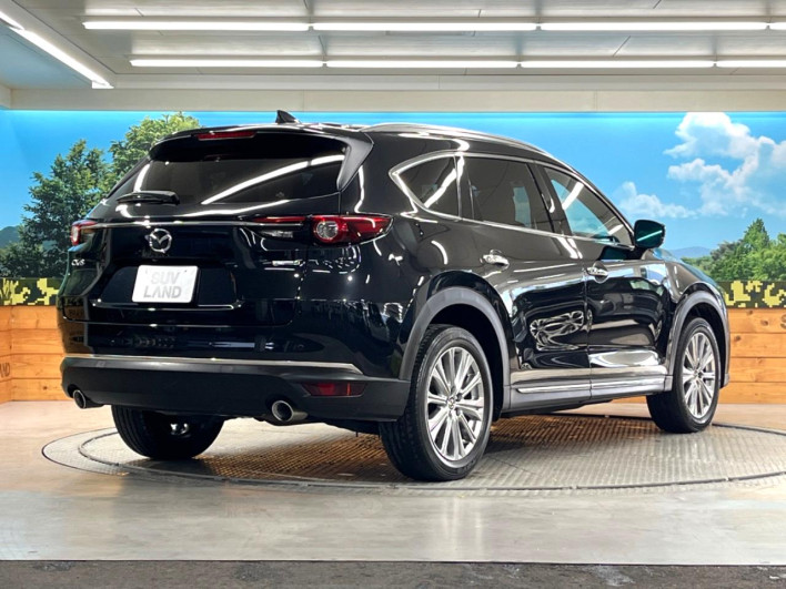 2022 Mazda CX-8 3da-kg2p (UW-69ef585d1f423)[18]