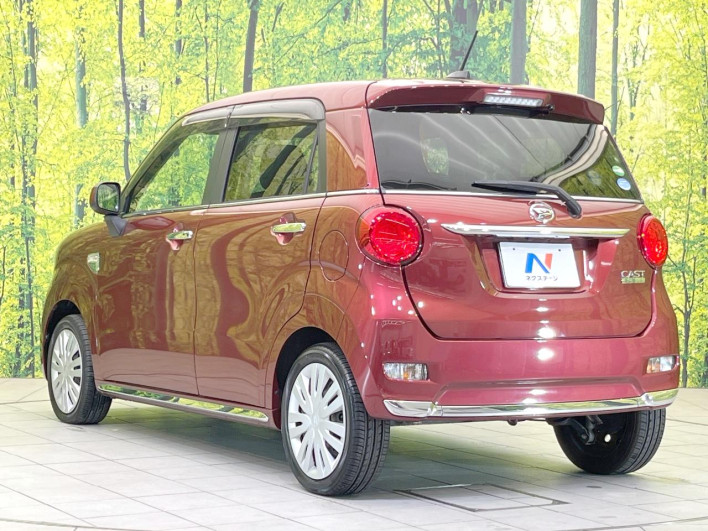 2017 Daihatsu Cast DBA-LA250S (UW-69ef58640dd1a)[11]