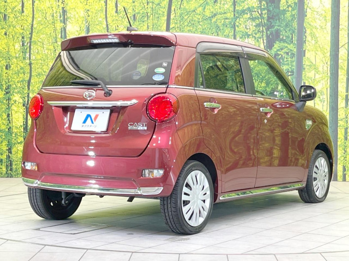 2017 Daihatsu Cast DBA-LA250S (UW-69ef58640dd1a)[9]