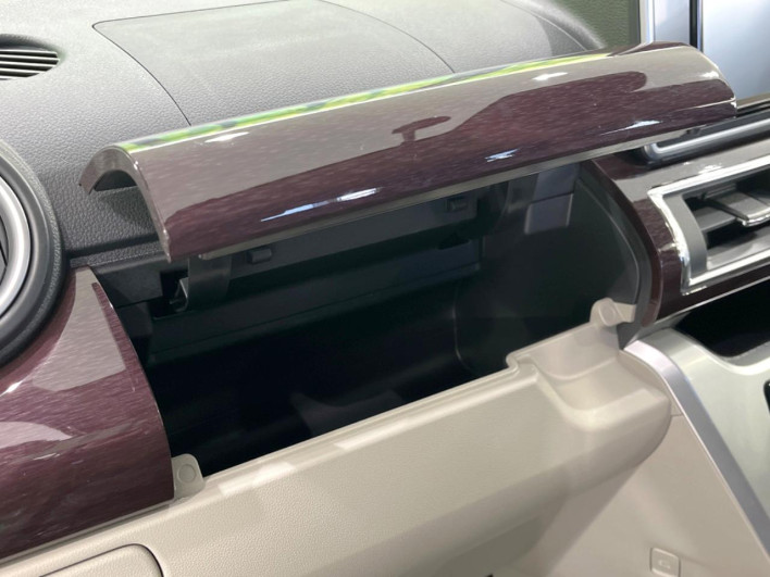 2023 Daihatsu Cast 5BA-LA250S (UW-69ef586469b32)[5]