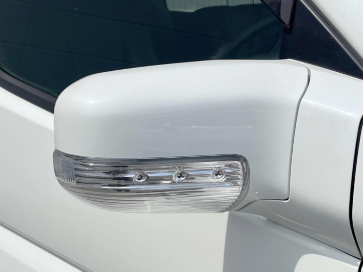 2009 Nissan Elgrand CBA-ME51 (UW-69ef588b7ae17)[10]