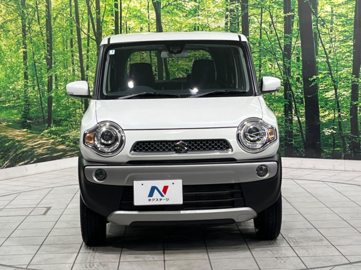 2015 Suzuki Hustler DBA-MR31S (UW-69ef589a223b3)[5]