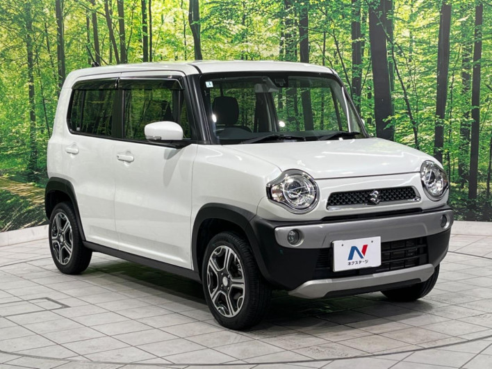 2015 Suzuki Hustler DBA-MR31S (UW-69ef589a223b3)[6]