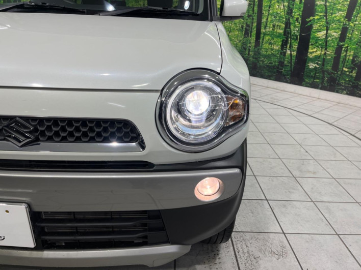 2015 Suzuki Hustler DBA-MR31S (UW-69ef589a223b3)[25]