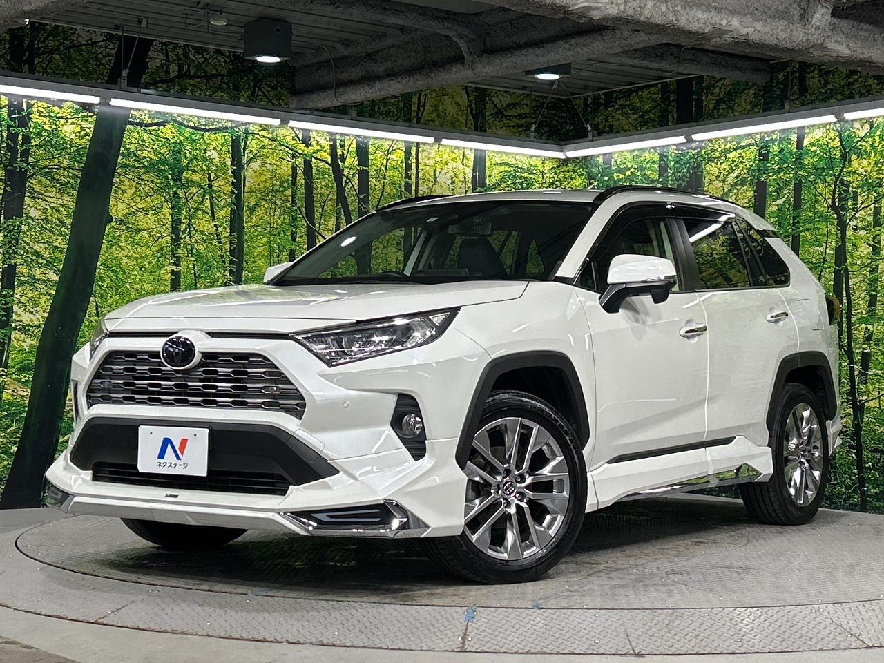 2019 Toyota RAV4 6BA-MXAA54