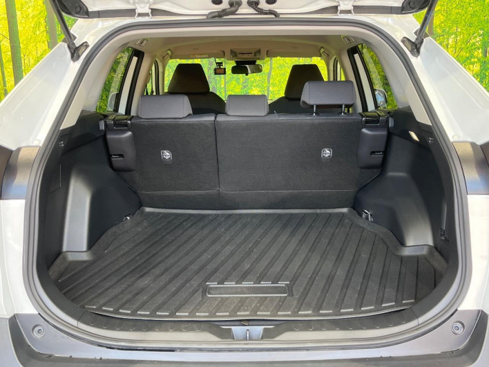 2022 Toyota RAV4 6BA-MXAA52 (UW-69ef58a4314db)[11]