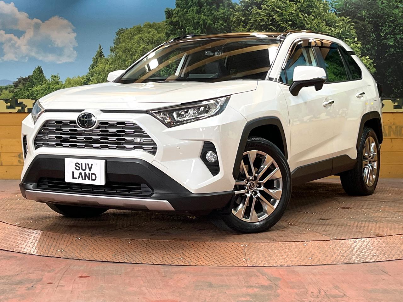 2019 Toyota RAV4 6BA-MXAA54