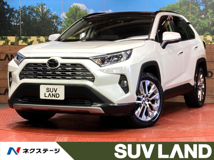 2021 Toyota RAV4 6BA-MXAA54 (UW-69ef58a61461a)[3]