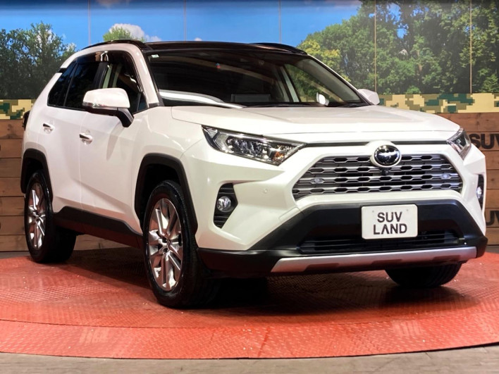 2021 Toyota RAV4 6BA-MXAA54 (UW-69ef58a61461a)[17]