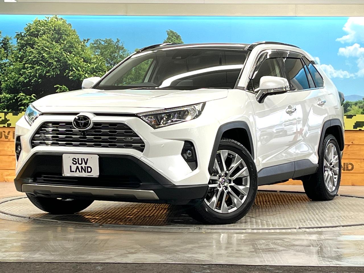 2023 Toyota RAV4 6BA-MXAA54