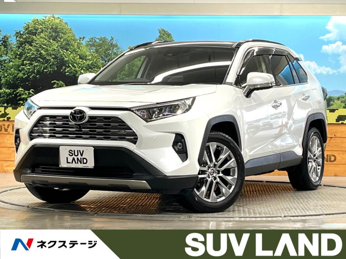 2023 Toyota RAV4 6BA-MXAA54 (UW-69ef58a6d0934)[3]