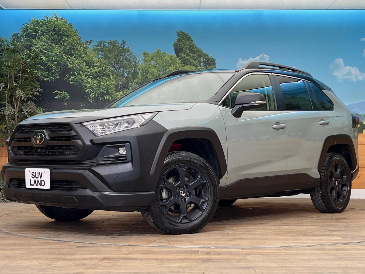 2024 Toyota RAV4 6BA-MXAA54