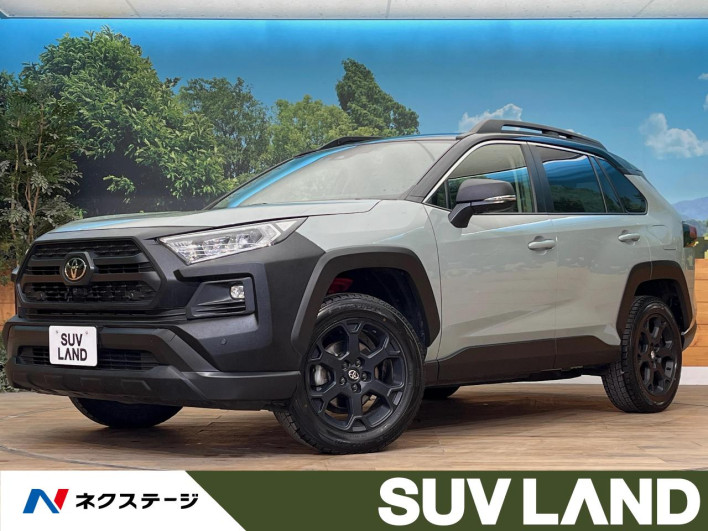 2024 Toyota RAV4 6BA-MXAA54 (UW-69ef58a7c5897)[3]
