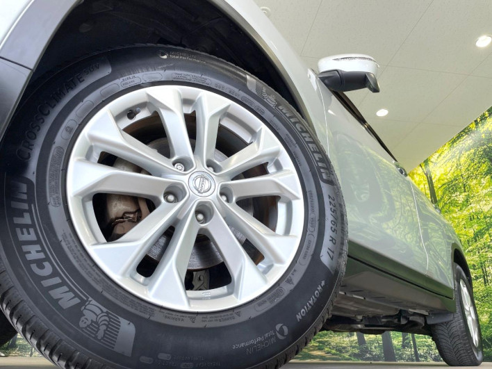 2016 Nissan X-Trail DBA-NT32 (UW-69ef58cfedf7c)[16]