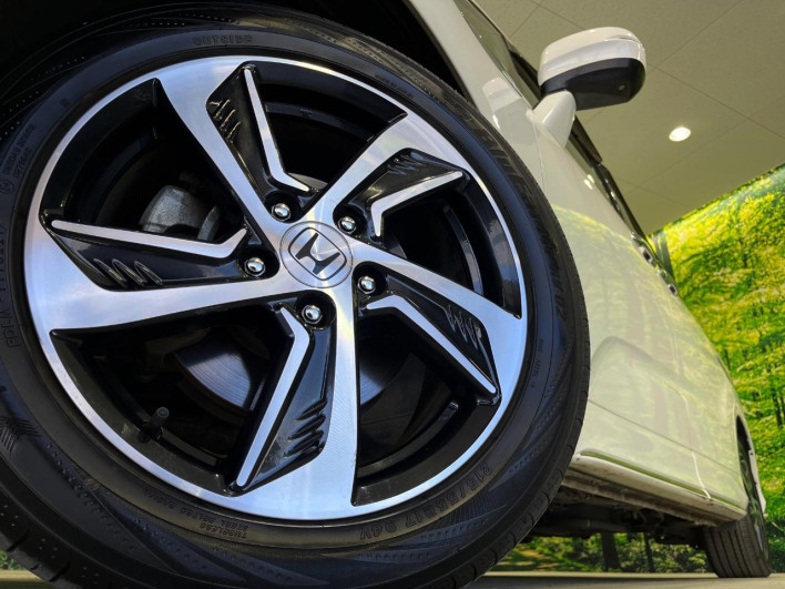 2016 Honda Odyssey DBA-RC2 (UW-69ef58d4a0c44)[16]