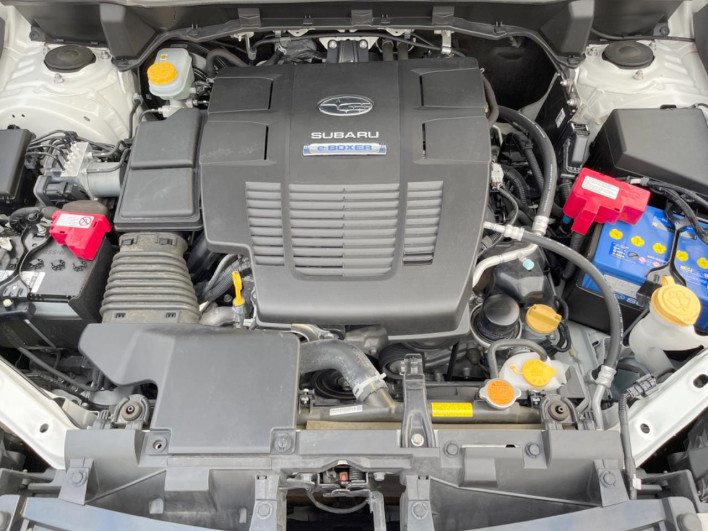 2019 Subaru Forester 5AA-SKE (UW-69ef58e3a02a3)[25]