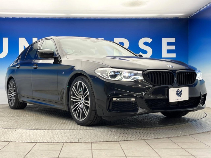 2017 BMW 5 Series LDA-JC20 (UW-69ef58f235877)[18]