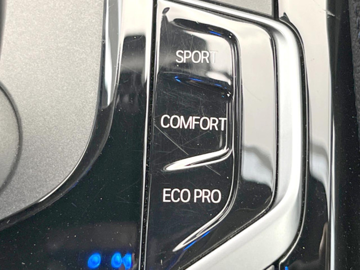 2020 BMW 5 Series 3DA-JF20 (UW-69ef58f27760b)[22]
