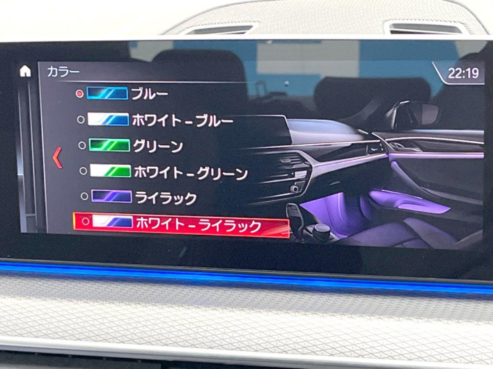2020 BMW 5 Series 3DA-JF20 (UW-69ef58f27760b)[14]