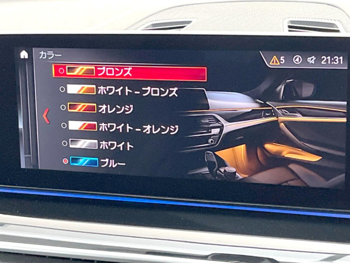 2019 BMW 5 Series 3DA-JF20 (UW-69ef58f2db2c3)[13]
