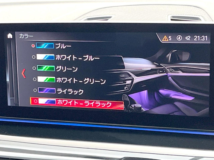 2019 BMW 5 Series 3DA-JF20 (UW-69ef58f2db2c3)[14]
