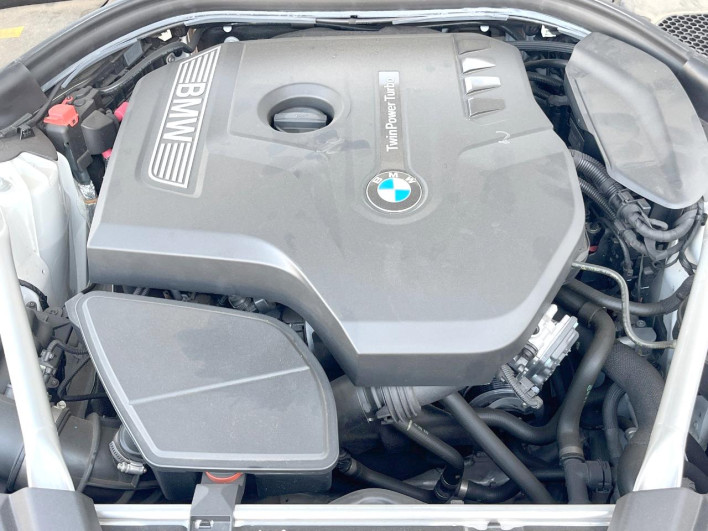 2019 BMW 5 Series DBA-JL10 (UW-69ef58f348fb8)[4]