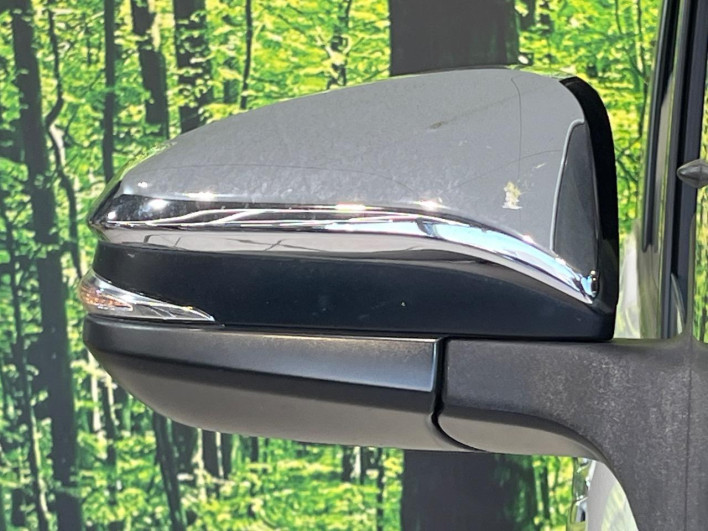 2018 Toyota Voxy DBA-ZRR80W (UW-69ef59044371f)[25]