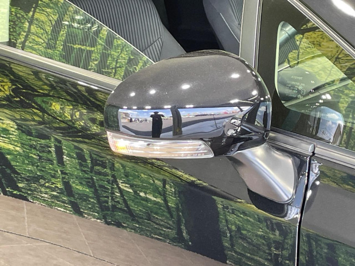 2015 Toyota Prius α DAA-ZVW41W (UW-69ef590fd0b17)[25]