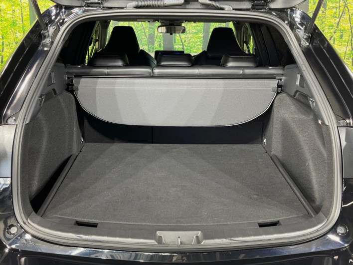 2023 Toyota Corolla Touring 6AA-ZWE219W (UW-69ef5915632a7)[10]