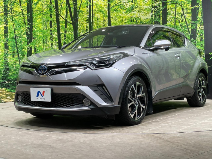 2017 Toyota C-HR DAA-ZYX10 (UW-69ef591e7465c)[12]