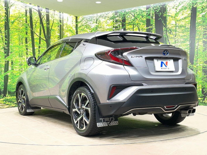 2017 Toyota C-HR DAA-ZYX10 (UW-69ef591e7465c)[18]
