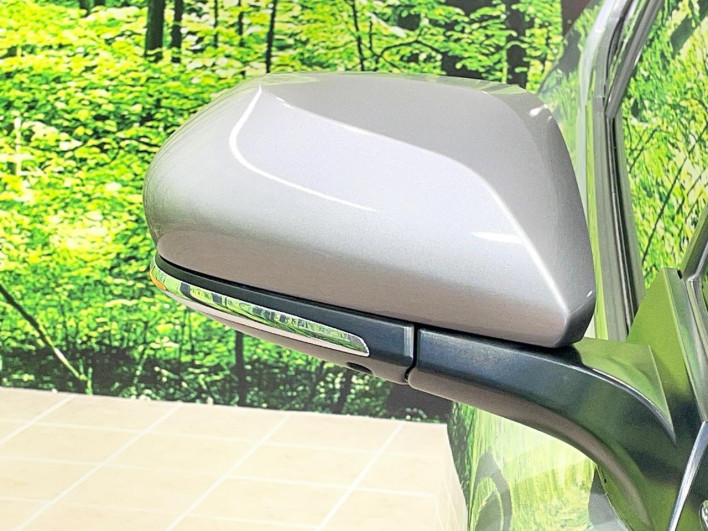 2017 Toyota C-HR DAA-ZYX10 (UW-69ef591e7465c)[8]