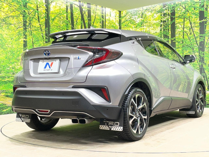 2017 Toyota C-HR DAA-ZYX10 (UW-69ef591e7465c)[16]