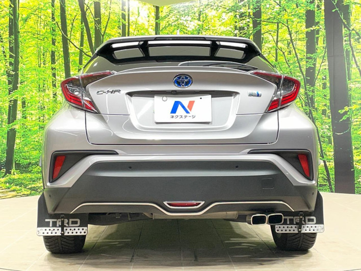 2017 Toyota C-HR DAA-ZYX10 (UW-69ef591e7465c)[17]