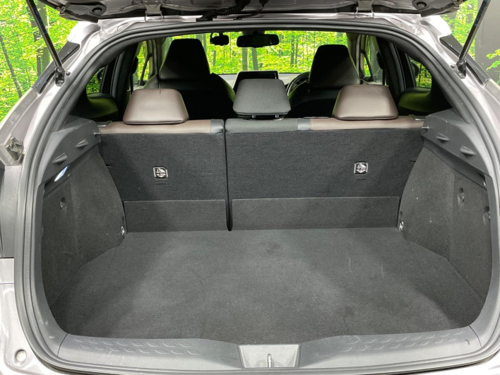 2017 Toyota C-HR DAA-ZYX10 (UW-69ef591e7465c)[23]