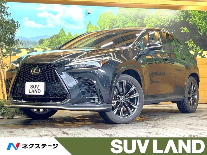2022 Lexus NX 6AA-AAZH20 (UW-69f020f4518a5)[0]