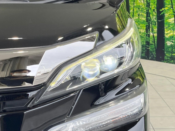 2017 Toyota Vellfire DBA-AGH30W (UW-69f020f5ec43d)[17]