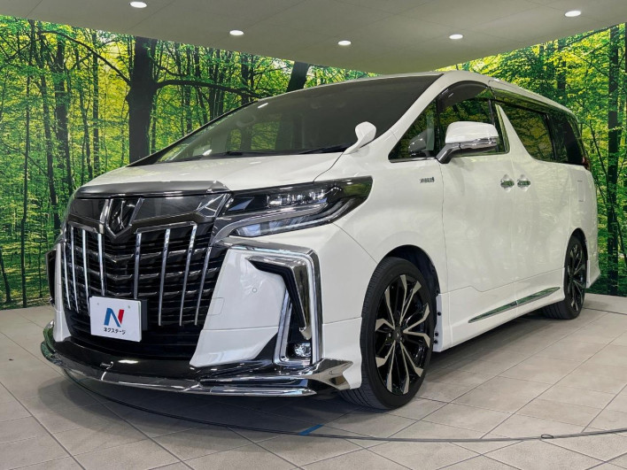 2019 Toyota Alphard DBA-AGH30W (UW-69f020f696c1a)[13]