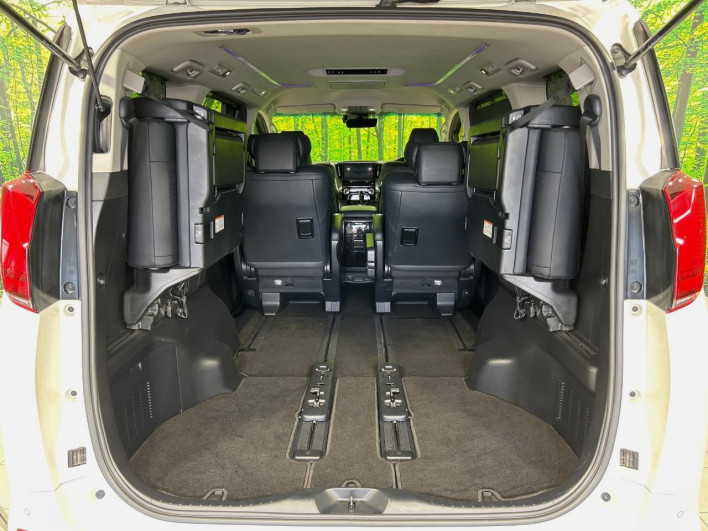 2019 Toyota Alphard DBA-AGH30W (UW-69f020f696c1a)[25]