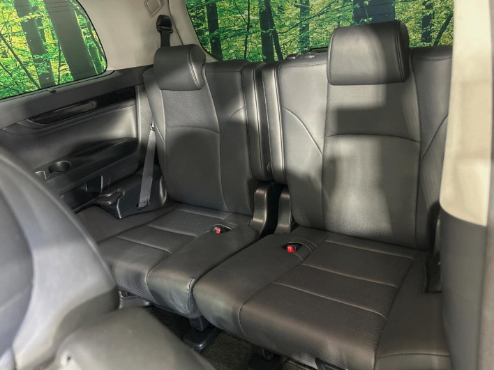 2019 Toyota Alphard DBA-AGH30W (UW-69f020f696c1a)[19]